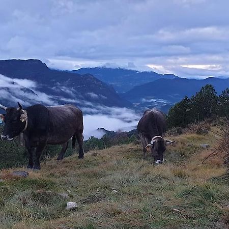 Precioso Apartamento En El Pirineo Catalan لا بوبلا دي لايليت المظهر الخارجي الصورة