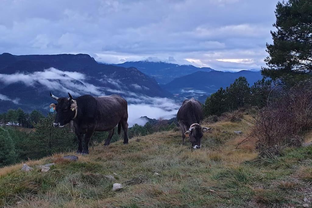 Precioso Apartamento En El Pirineo Catalan لا بوبلا دي لايليت المظهر الخارجي الصورة